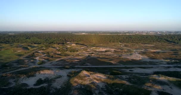 日没の間の砂丘と森 右に移動 南オランダ オランダ 4Kドローンフッテージ — ストック動画