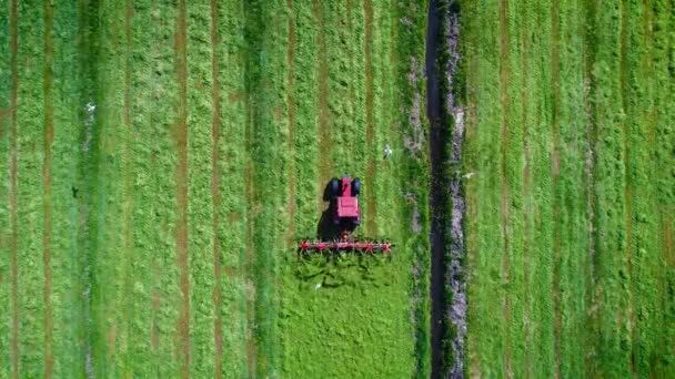 Tractor Scatters Erba Terreni Agricoli Olandesi Circondato Gabbiani Vista Dall — Video Stock