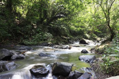 Fotoğrafta serin bir nehir akıntısı resmediliyor