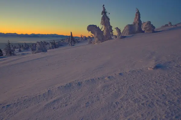 Kışın Pilsko 'dan Tatra Dağlarının Panoraması