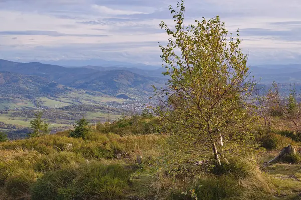 Beskids 'ta Barania Gra' da sonbahar
