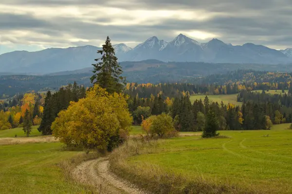 Tatra Dağları manzaralı toprak yol.