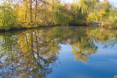 Renkli ağaçlar suya yansıyor