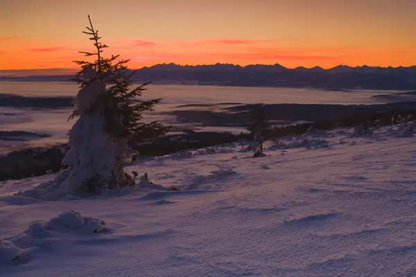 Pilsko, Beskid Dağlarında kış gündoğumu