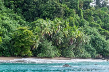 Pasifik Okyanusu, Kosta Rika 'daki Cao Adası sahillerindeki plajlar.