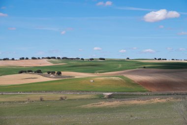 İspanya 'nın Castilla La Mancha kentindeki ekin tarlaları
