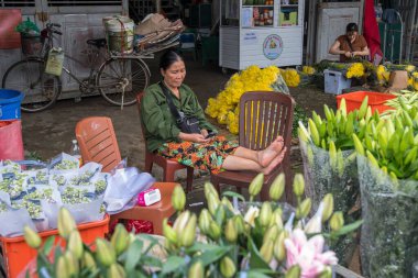 Hanoi, Vietnam - 10 Nisan 2025: Quang Ba Çiçek Pazarı 'ndaki kadın ve çiçek tezgahı