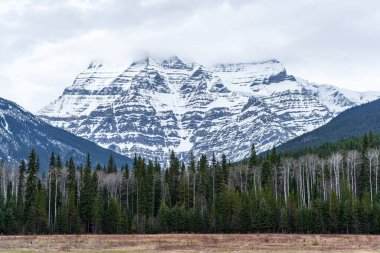 Tepesinde bulutlar, önünde ağaçlar ve bir çayır olan karla kaplı bir dağ.