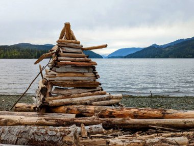 Vancouver Adası 'ndaki kayalık bir sahilde ahşap heykel