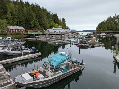 Telegraph Cove limanında balıkçı tekneleri, M.Ö. Kanada