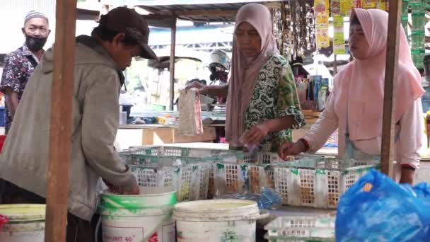 Kalimantan Del Sur Indonesia Agosto 2022 Actividades Vendedores Comerciantes Tofu — Vídeos de Stock