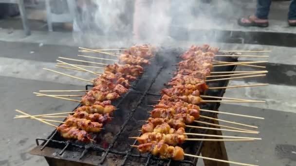 Rántott Csirkés Szatén Grillezése Forró Szénen Csirke Satay Vagy Satate — Stock videók