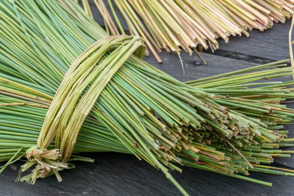 Purun Danau (Lepironia articulata), Cyperaceae kabilesine ait bir çim türüdür..