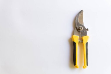 Makas buduyorum. Bahçe budayıcı. Bahçede çalışmak için kullanılan makas beyaz arka planda izole edilmiş çeşitli yerleşimler.