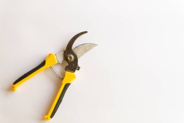 Makas buduyorum. Bahçe budayıcı. Bahçede çalışmak için kullanılan makas beyaz arka planda izole edilmiş çeşitli yerleşimler.