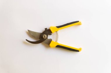 Makas buduyorum. Bahçe budayıcı. Bahçede çalışmak için kullanılan makas beyaz arka planda izole edilmiş çeşitli yerleşimler.