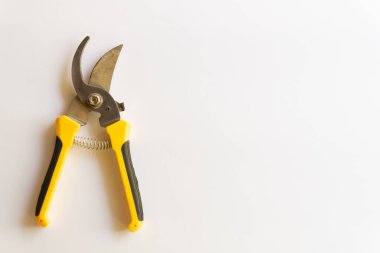 Makas buduyorum. Bahçe budayıcı. Bahçede çalışmak için kullanılan makas beyaz arka planda izole edilmiş çeşitli yerleşimler.