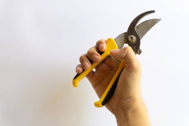 Makas buduyorum. Bahçe budayıcı. Bahçede çalışmak için kullanılan makas beyaz arka planda izole edilmiş çeşitli yerleşimler.