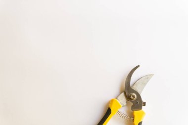 Makas buduyorum. Bahçe budayıcı. Bahçede çalışmak için kullanılan makas beyaz arka planda izole edilmiş çeşitli yerleşimler.