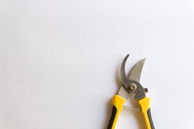 Makas buduyorum. Bahçe budayıcı. Bahçede çalışmak için kullanılan makas beyaz arka planda izole edilmiş çeşitli yerleşimler.