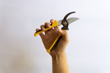 Makas buduyorum. Bahçe budayıcı. Bahçede çalışmak için kullanılan makas beyaz arka planda izole edilmiş çeşitli yerleşimler.