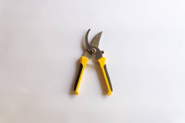 Makas buduyorum. Bahçe budayıcı. Bahçede çalışmak için kullanılan makas beyaz arka planda izole edilmiş çeşitli yerleşimler.