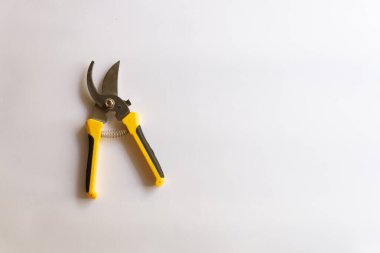 Makas buduyorum. Bahçe budayıcı. Bahçede çalışmak için kullanılan makas beyaz arka planda izole edilmiş çeşitli yerleşimler.
