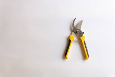 Makas buduyorum. Bahçe budayıcı. Bahçede çalışmak için kullanılan makas beyaz arka planda izole edilmiş çeşitli yerleşimler.