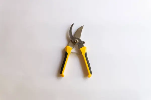 Makas buduyorum. Bahçe budayıcı. Bahçede çalışmak için kullanılan makas beyaz arka planda izole edilmiş çeşitli yerleşimler.