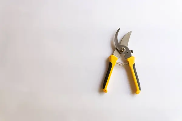 Makas buduyorum. Bahçe budayıcı. Bahçede çalışmak için kullanılan makas beyaz arka planda izole edilmiş çeşitli yerleşimler.