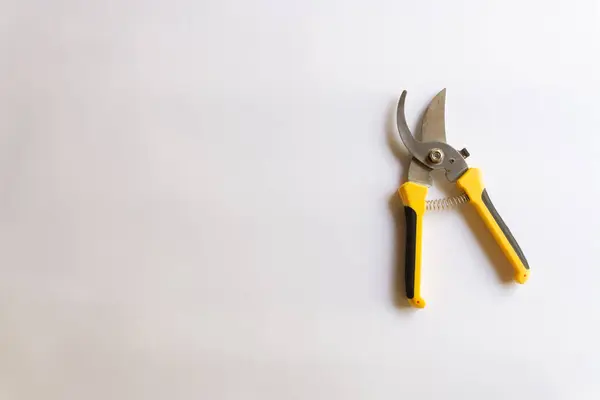 Makas buduyorum. Bahçe budayıcı. Bahçede çalışmak için kullanılan makas beyaz arka planda izole edilmiş çeşitli yerleşimler.