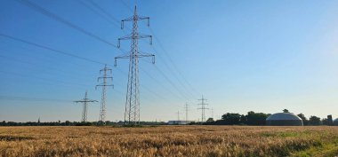 Buğday tarlası, üzerinde elektrik direkleri ve elektrik hatları, arka planda güneşli bir günde mavi gökyüzü olan bir biyogaz tesisi. 