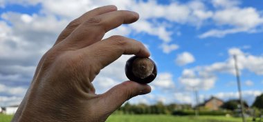 Bulutlu Mavi Gökyüzüne Karşı El Kestanesi