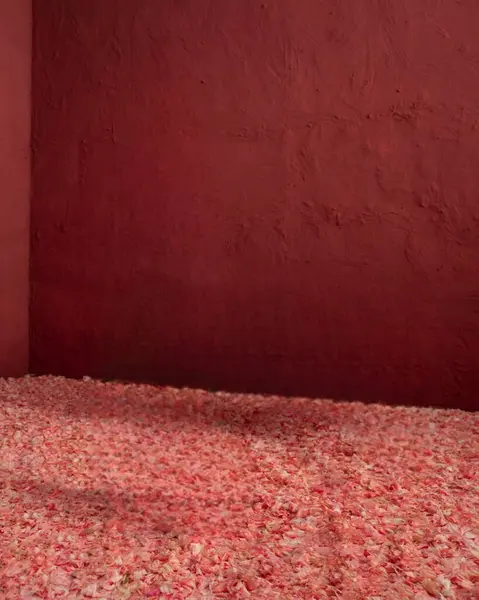 Ürün sunumu için boş kahverengi arkaplan. Duvardaki pencerelerden gelen gölge ve ışık.