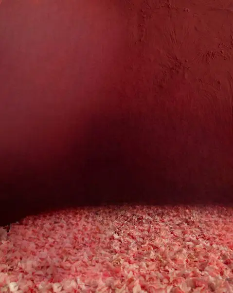 Ürün sunumu için boş kahverengi arkaplan. Duvardaki pencerelerden gelen gölge ve ışık.