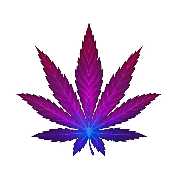 大麻の葉紫色の珍しい品種のイラストのリアリズムを隔離します リラクゼーション用の癒しのハーブ — ストック写真