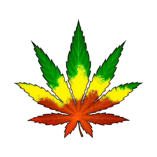 大麻の葉のイラストリアリズムは 赤黄緑色を隔離します リラクゼーション用の癒しのハーブ — ストック写真