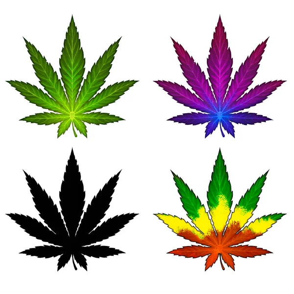 一组五颜六色的大麻紫色稀有品种 大麻叶说明现实隔离 治疗药草放松 — 图库照片