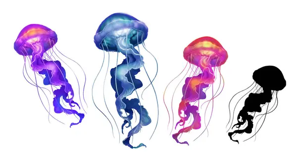 Large Set Multi Colored Jellyfish Illustration Isolate Realism — Stock Photo, Image