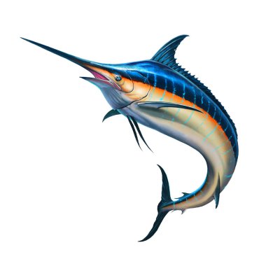 Büyük siyah kılıçbalığı denizden atlıyor. Kara Kılıçbalığı açık denizlerde aşırı avlanır. Tropiklerde ve hobilerde tatiller.