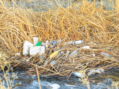 Plastik su şişeleri ve diğer çöpler kırsal alanda yere dökülüyor..