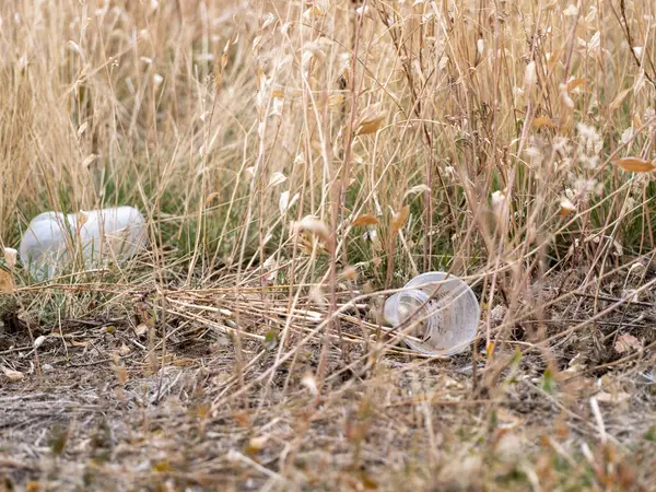 Plastik bardaklar, kirlilik, bir doğa koruma alanına atılmış..