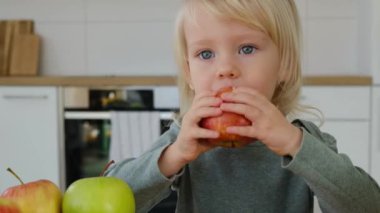 Sevimli sarı saçlı çocuk, küçük kız mutfak arka planında elma yiyor, video çekiyor.