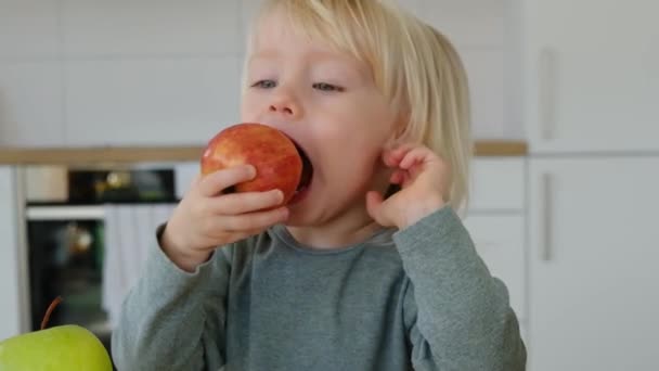 Blond Haired Child Cute Girl Eating Red Apple — Stock Video
