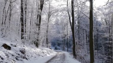 Parkta kar yolu, kış ormanı, donmuş ağaçlar ve güneşli bir günde hafif kar yağışı, havadan çekilmiş görüntüler.