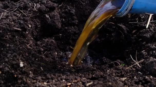 Widok Bliska Gleby Podlewanej Deszczem Brązowej Wody Kolorowe — Wideo stockowe