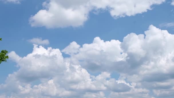 Panorama Błękitnego Nieba Chmurami Słoneczny Dzień Zielonymi Liśćmi Korony Drzew — Wideo stockowe
