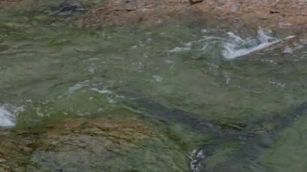 Pedra Granito Subaquático Marisco Verde Rochas Ondas Água Lago Puro — Vídeo de Stock