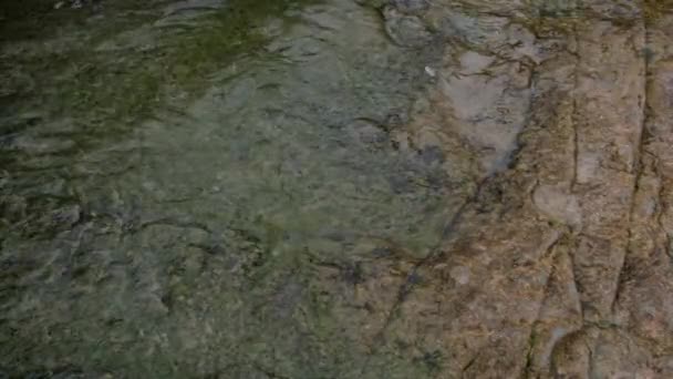 Gránitkő Textúrája Folyó Víz Zöld Sziklák Tiszta Víz Hullámai Lassított — Stock videók