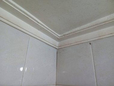 Etrafı seramik kiremitlerle kaplı küflü ve lekeli bir tavan.